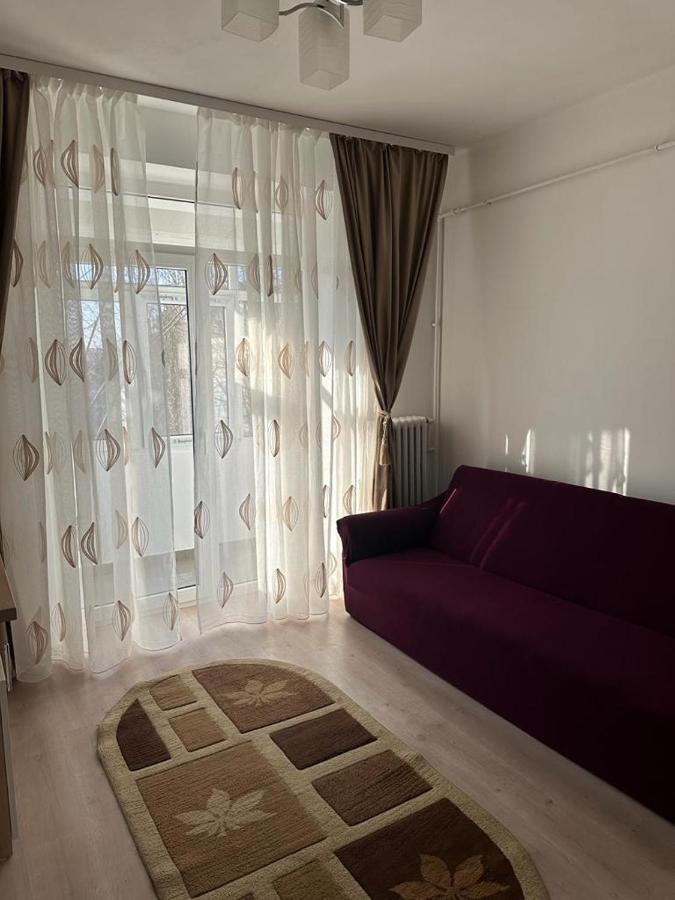 Velovan Apartment Craiova Kültér fotó
