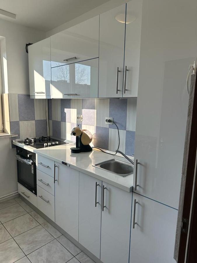 Velovan Apartment Craiova Kültér fotó